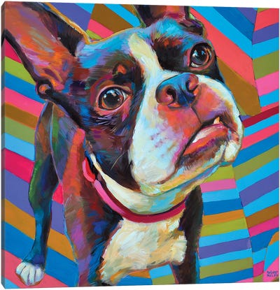 Psychedelic Boston Terrier Canvas Art Print - Robert Phelps