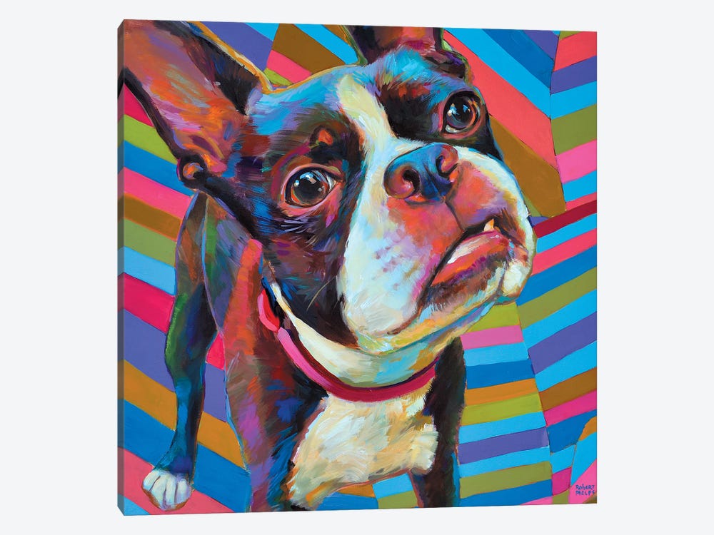 Psychedelic Boston Terrier by Robert Phelps 1-piece Canvas Wall Art