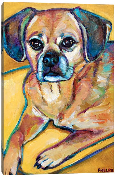 Puggle Canvas Art Print - Pug Art