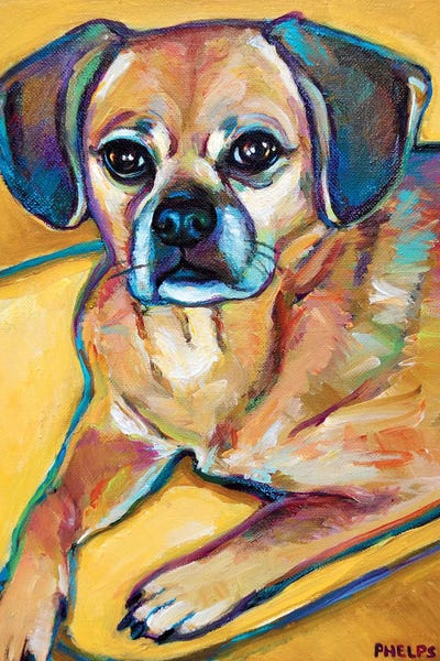Pugs: Puggle by Robert Phelps