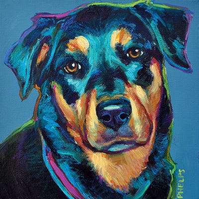 Rottweiler by Robert Phelps framed wall art