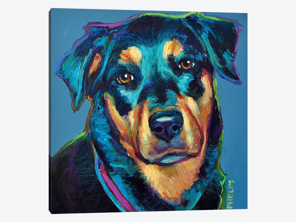 Rottweiler by Robert Phelps 1-piece Canvas Artwork