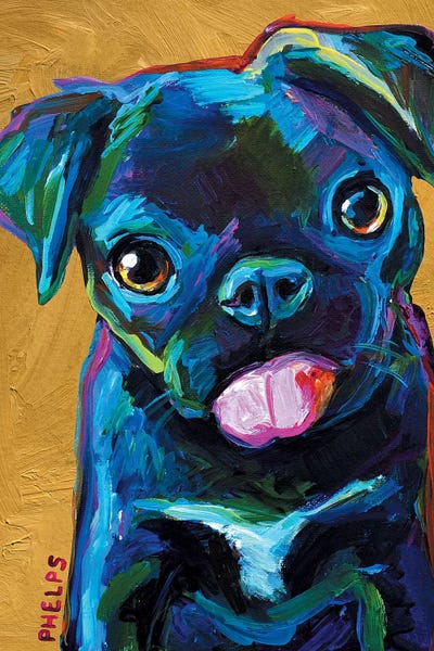 Robert Phelps: Black Pug Puppy by Robert Phelps