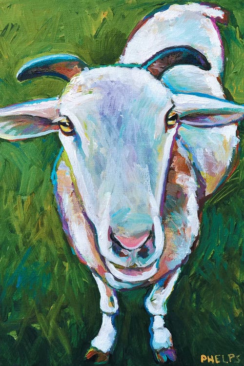 Sheep by Robert Phelps wall art