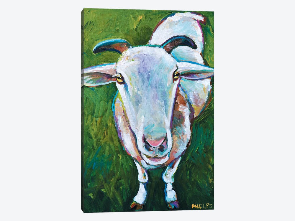 Sheep by Robert Phelps 1-piece Canvas Art Print