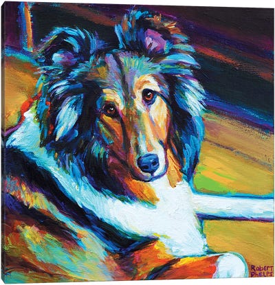 Sheltie I Canvas Art Print - Homage to The Fauves