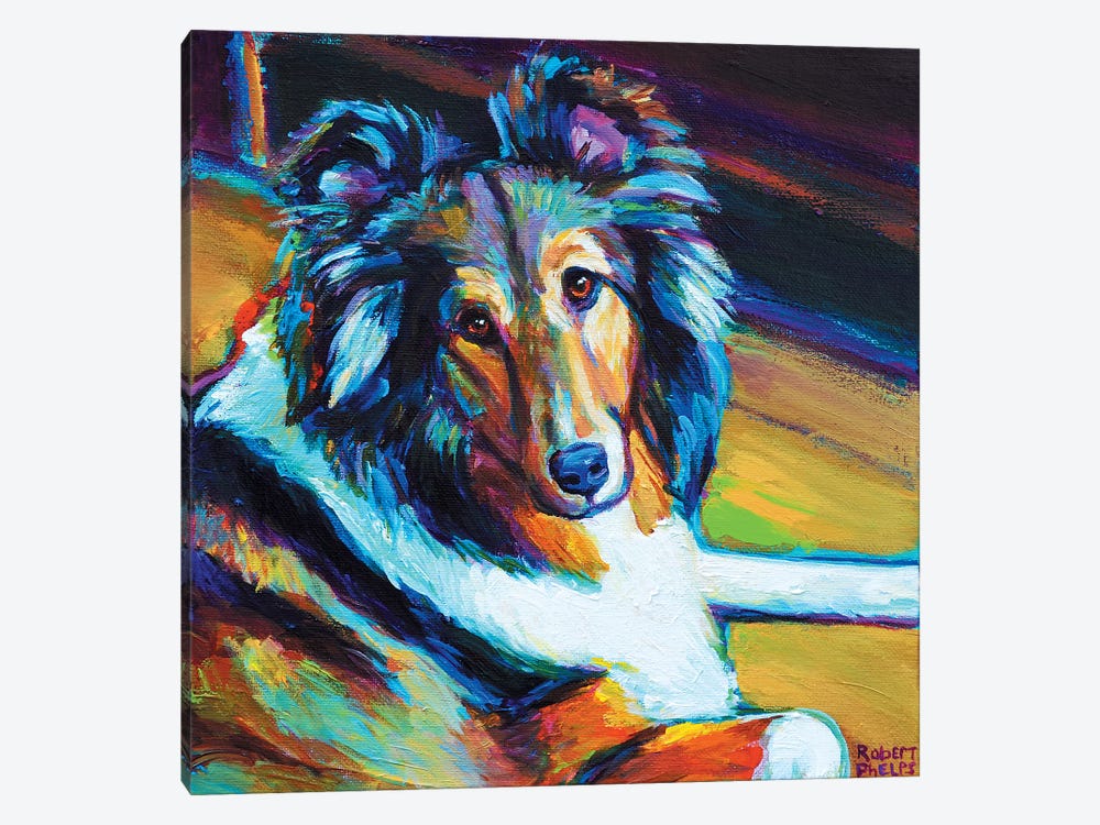 Sheltie I by Robert Phelps 1-piece Canvas Wall Art