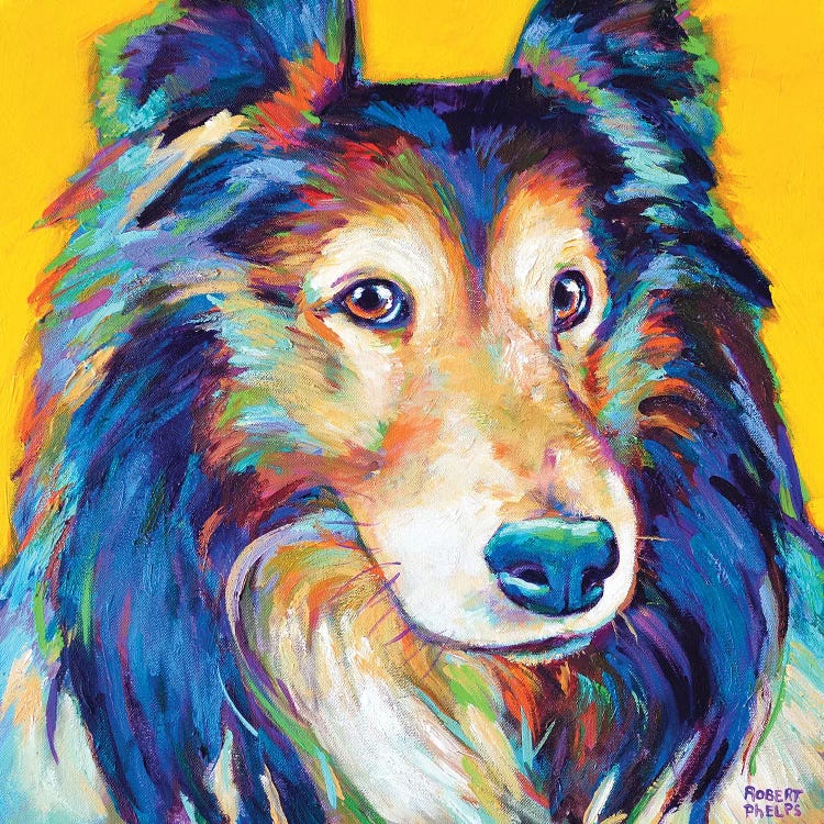 Sheltie II by Robert Phelps wall art