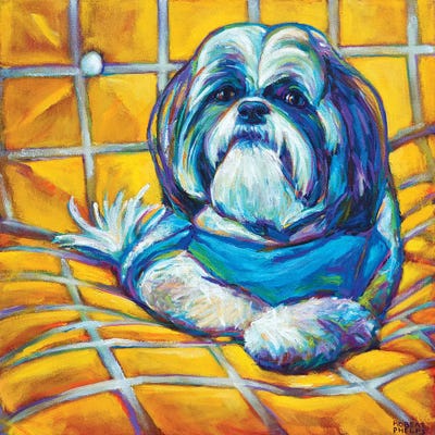 Shih Tzu by Robert Phelps framed canvas print