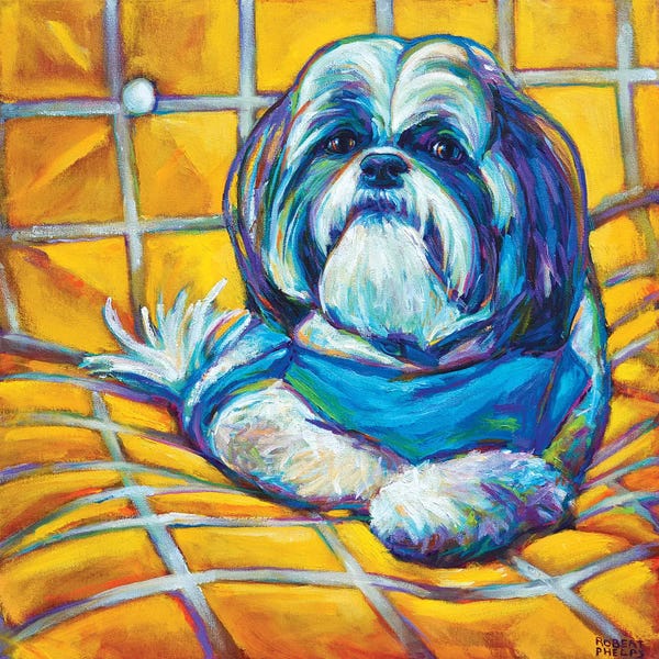 Robert Phelps: Shih Tzu by Robert Phelps