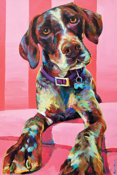 Robert Phelps: Shorthair Pointer by Robert Phelps