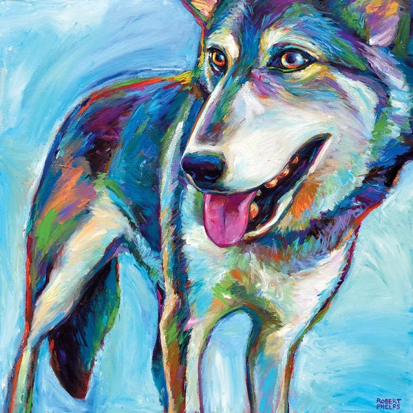 Robert Phelps: Snow Wolf by Robert Phelps