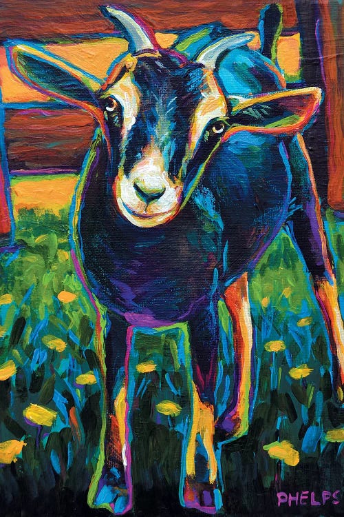 Black Goat by Robert Phelps wall art