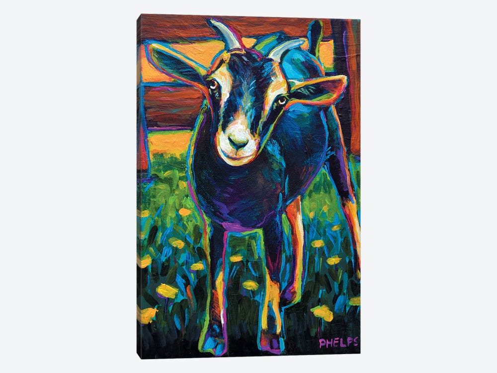 Black Goat by Robert Phelps 1-piece Canvas Wall Art
