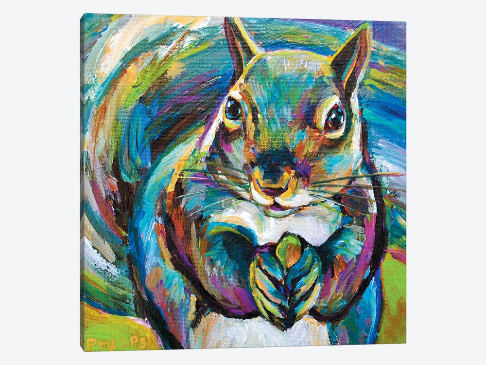 Squirrel by Robert Phelps 1-piece Canvas Art Print