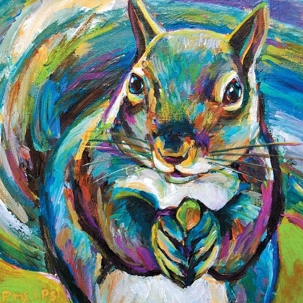 Robert Phelps: Squirrel by Robert Phelps