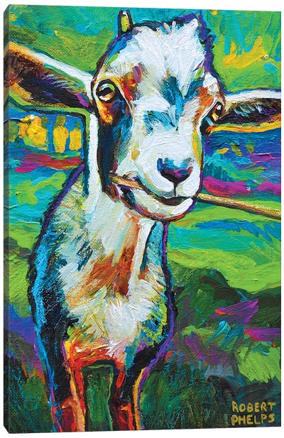 Theo The Goat Canvas Art Print - Goat Art