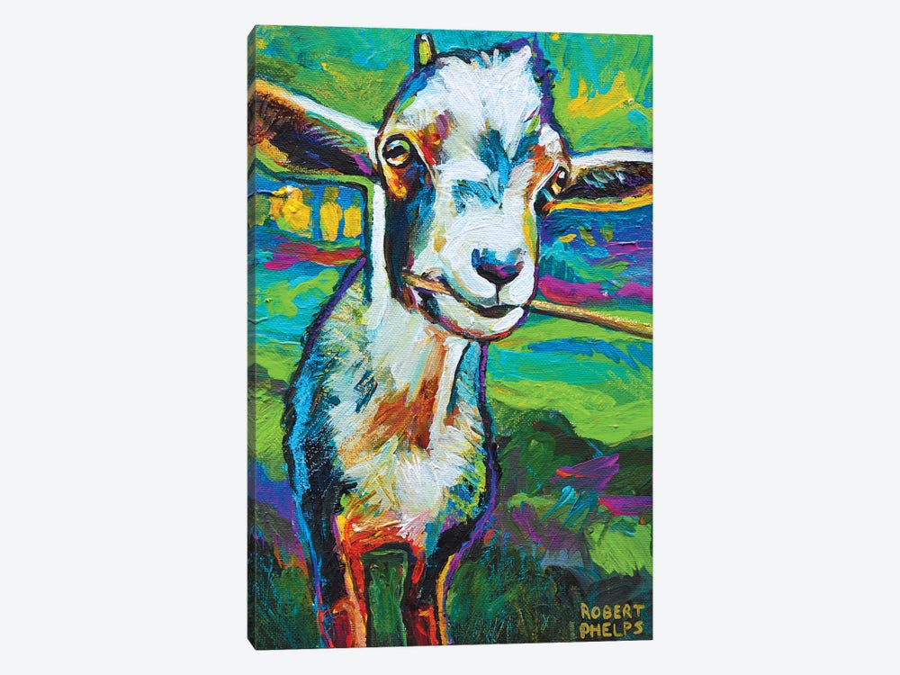 Theo The Goat by Robert Phelps 1-piece Canvas Wall Art