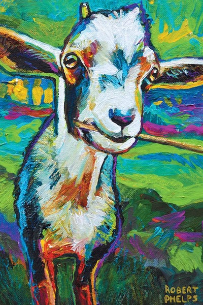 Homage To The Fauves: Theo The Goat by Robert Phelps