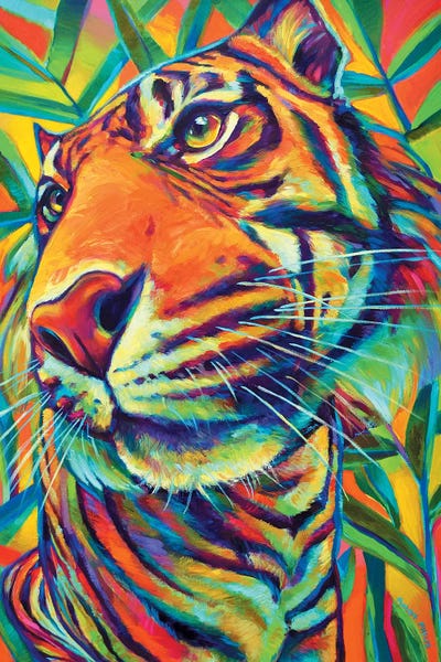 Tiger by Robert Phelps metal wall art