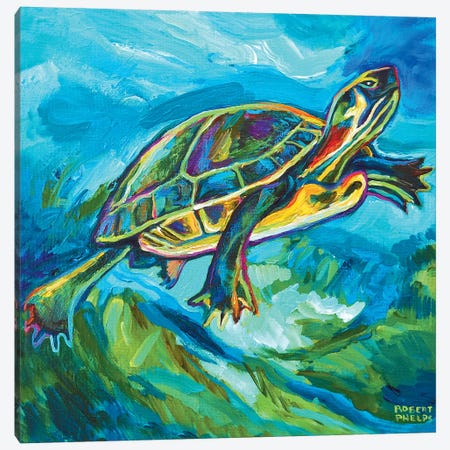 Turtle Canvas Print #RPH75} by Robert Phelps Canvas Wall Art
