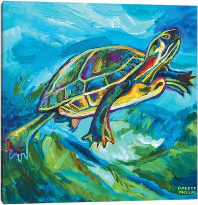 Turtle Canvas Art Print - Robert Phelps