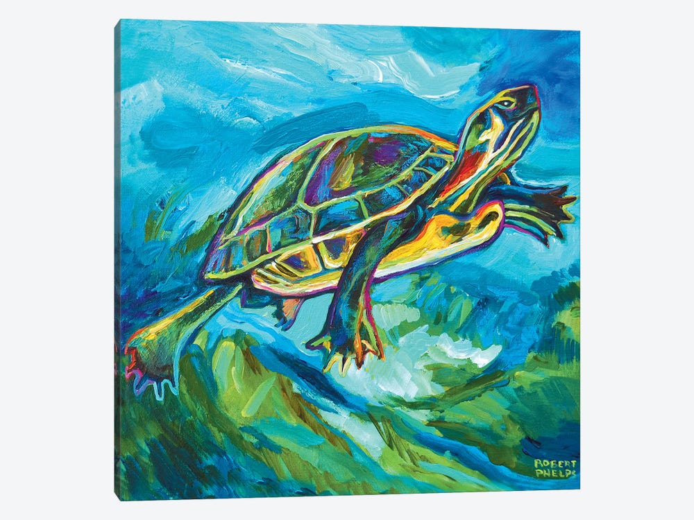 Turtle by Robert Phelps 1-piece Canvas Art