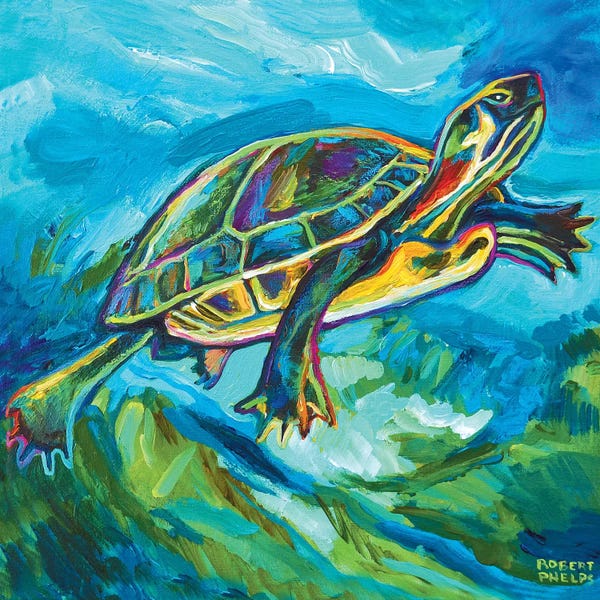 Robert Phelps: Turtle by Robert Phelps