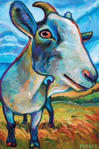 Van Goat by Robert Phelps canvas print