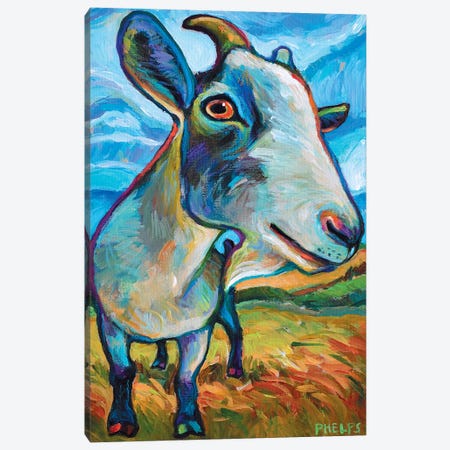Van Goat Canvas Print #RPH76} by Robert Phelps Canvas Art