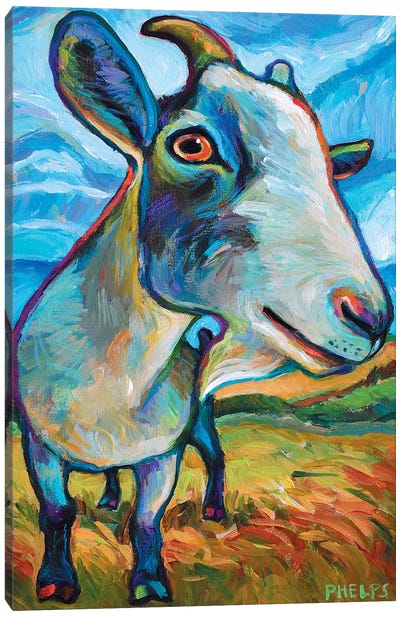 Van Goat Canvas Art Print - Robert Phelps