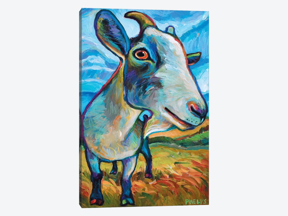 Van Goat by Robert Phelps 1-piece Canvas Print
