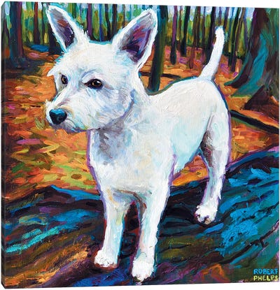 Westie In The Woods Canvas Art Print - West Highland White Terrier Art