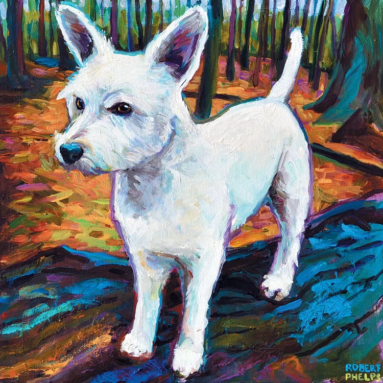 Westie In The Woods by Robert Phelps wall art