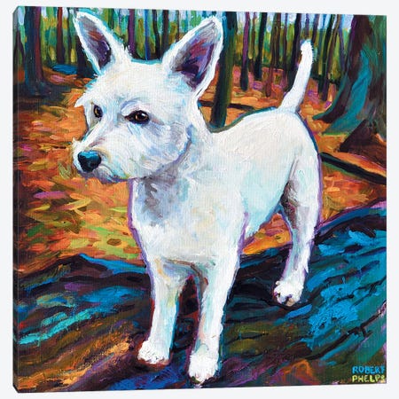 Westie In The Woods Canvas Print #RPH77} by Robert Phelps Canvas Artwork