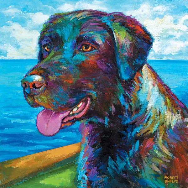 Labrador Retrievers: Wet Black Lab by Robert Phelps