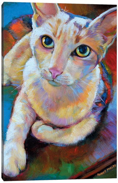 White Cat Canvas Art Print - Robert Phelps