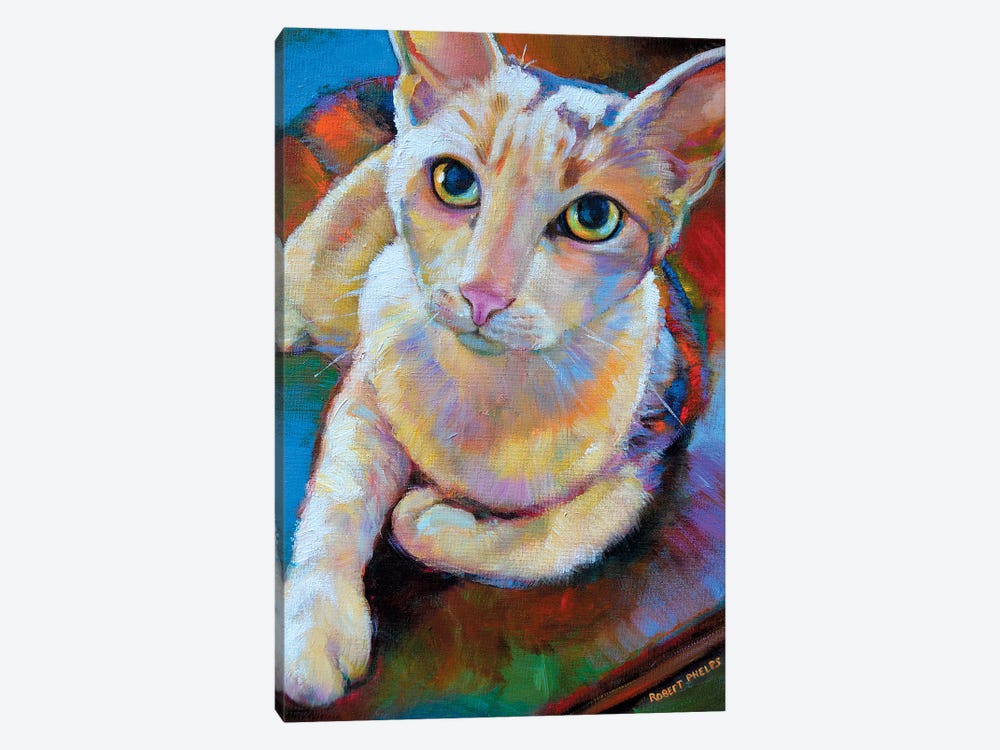 White Cat by Robert Phelps 1-piece Canvas Wall Art