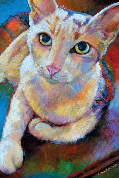 Robert Phelps: White Cat by Robert Phelps