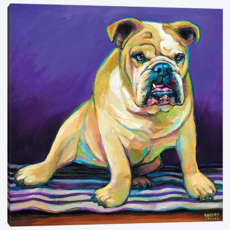 Blanket Bulldog Canvas Print #RPH7} by Robert Phelps Canvas Wall Art