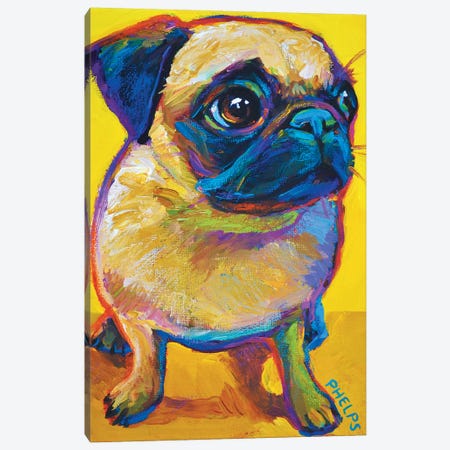 Yellow Pug Canvas Print #RPH81} by Robert Phelps Canvas Wall Art