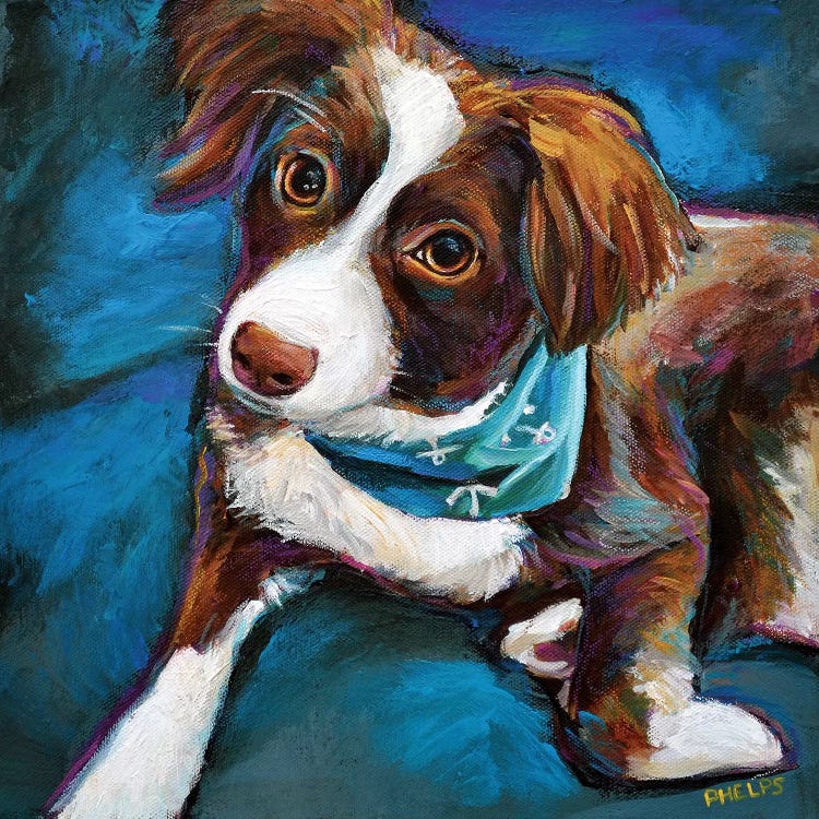 Australian Shepherd Puppy by Robert Phelps wall art