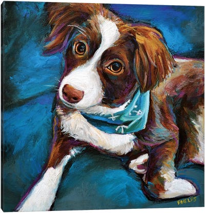 Australian Shepherd Puppy Canvas Art Print - Australian Shepherd Art