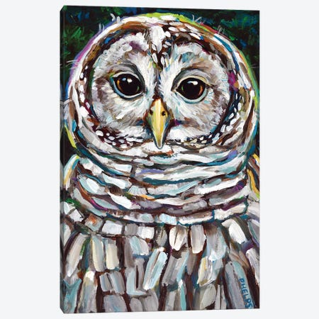 Barred Owl Canvas Print #RPH83} by Robert Phelps Canvas Wall Art