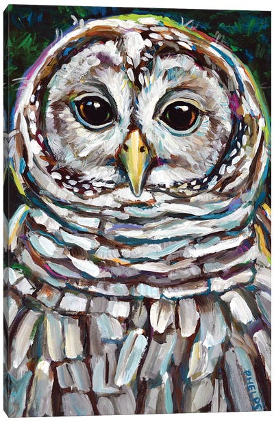 Barred Owl Canvas Art Print - Robert Phelps