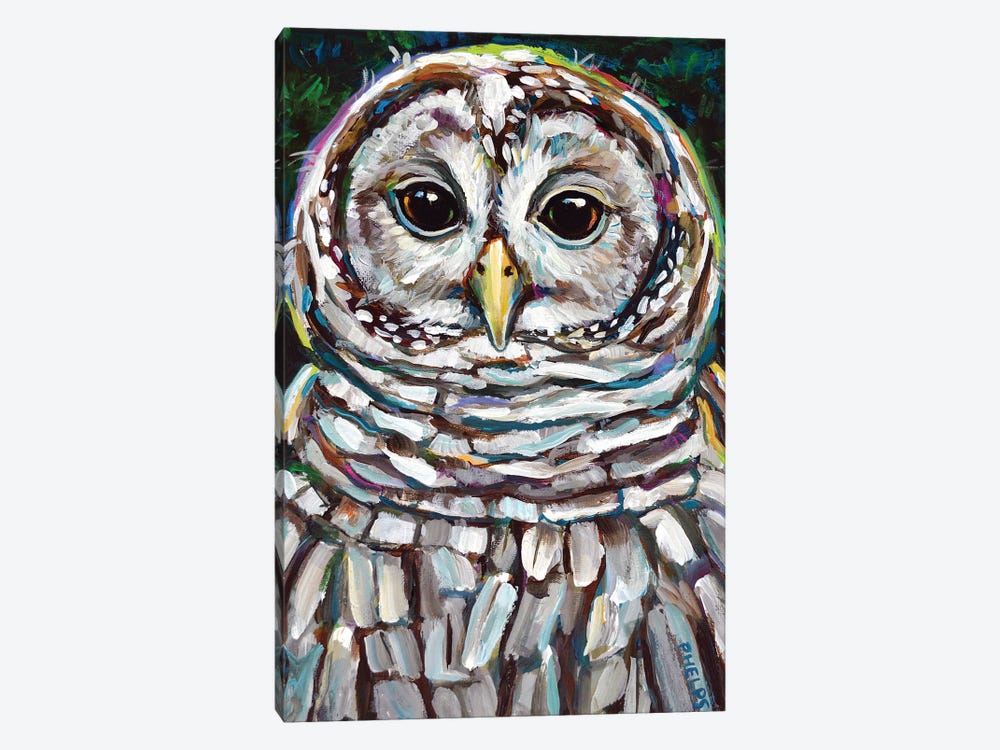 Barred Owl by Robert Phelps 1-piece Canvas Print