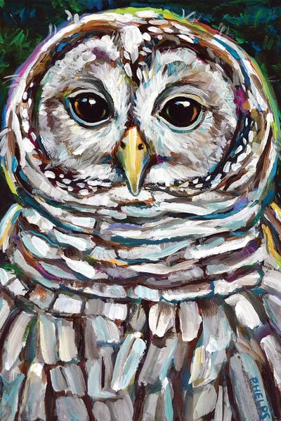 Robert Phelps: Barred Owl by Robert Phelps