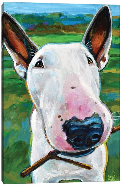 Bull Terrier with Stick Canvas Art Print - Bull Terrier Art