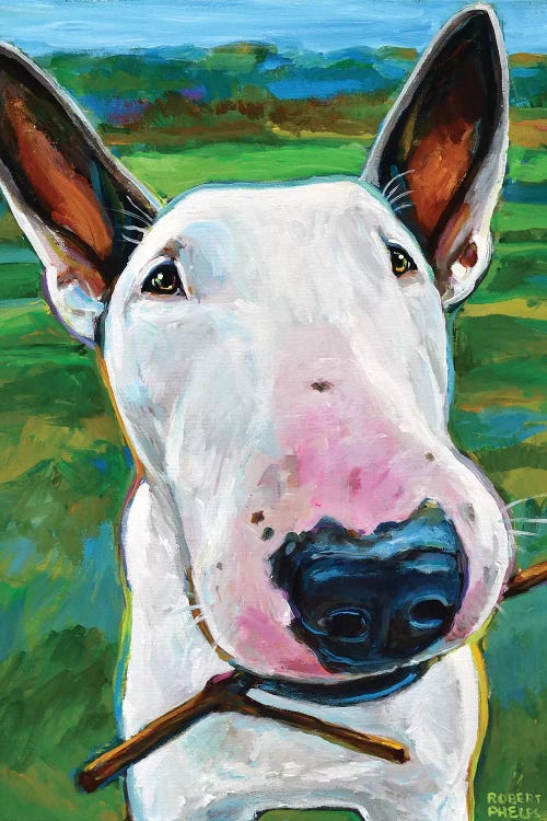 Bull Terrier with Stick by Robert Phelps wall art