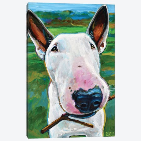 Bull Terrier with Stick Canvas Print #RPH84} by Robert Phelps Canvas Print